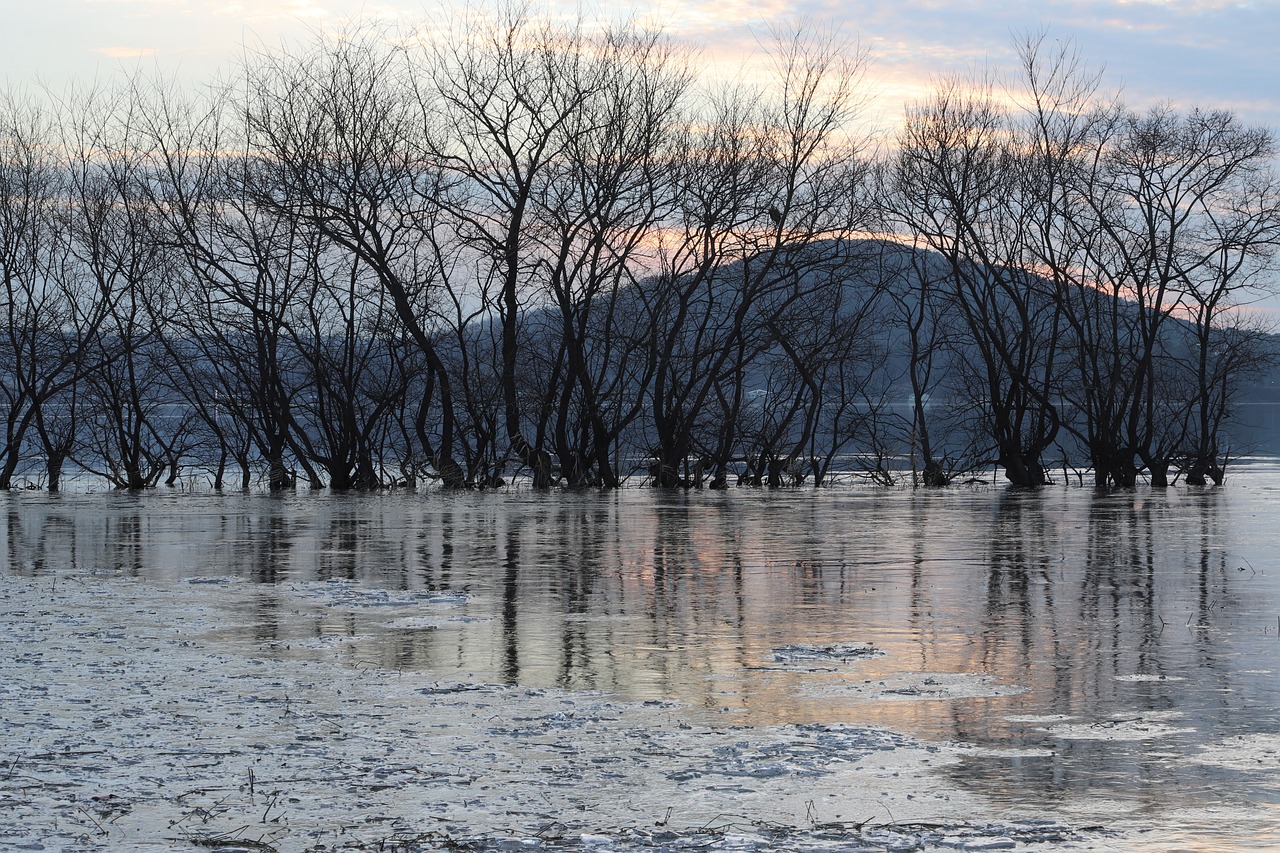 11届全国大众冰雪季 湖南百万人上冰张家界站开幕